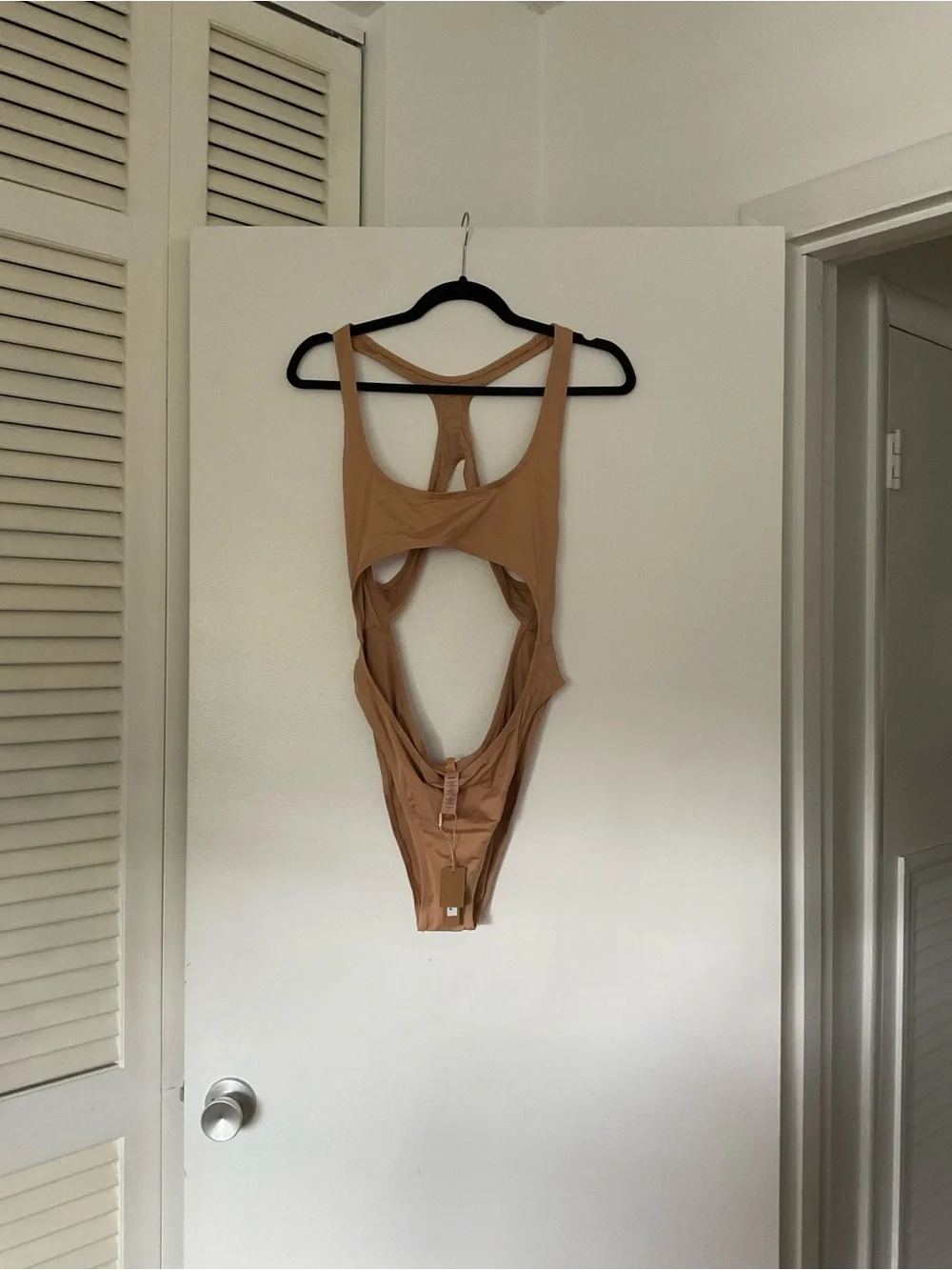 NWT skims signature cut out Monokini